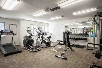 A well-equipped gym with treadmills, elliptical machines, and weightlifting equipment.